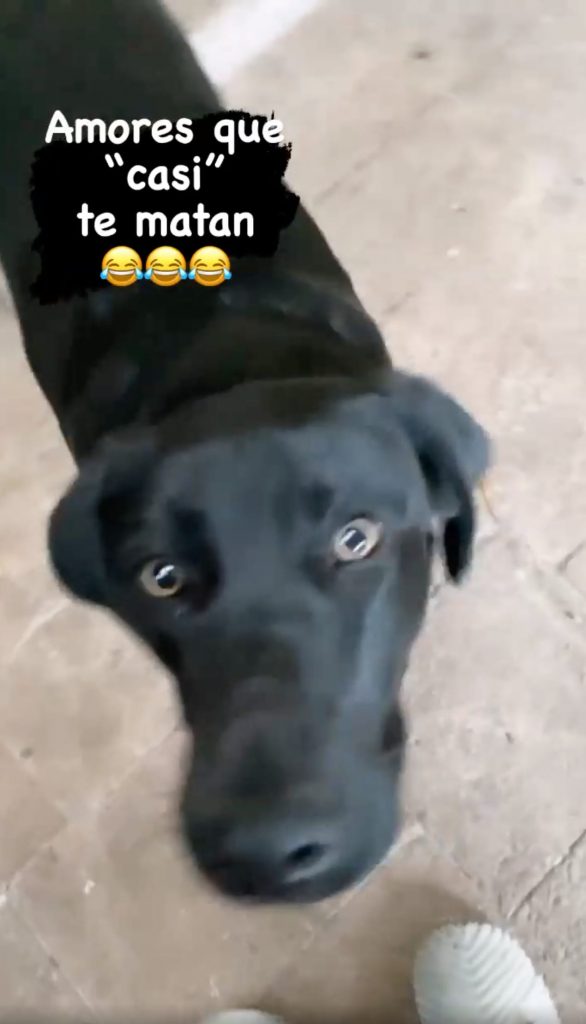 Instagram Francisca García Huidobro1